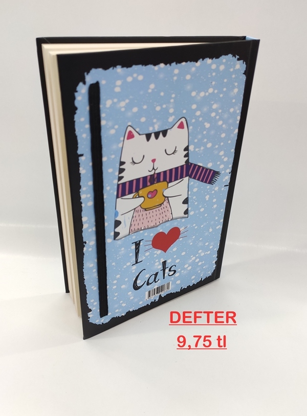 DEFTER